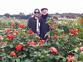 The_couple_1_in rose garden